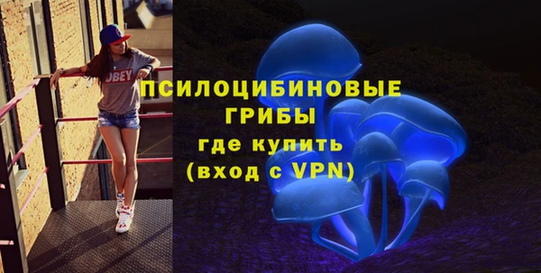 марки lsd Краснослободск