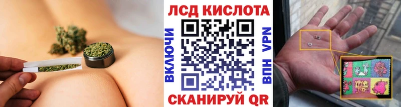 Наркотические марки 1,5мг  Купить где  Новотитаровская